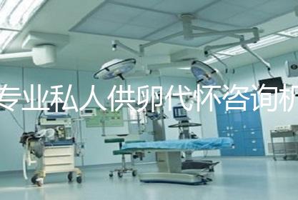 专业私人供卵代怀咨询机构